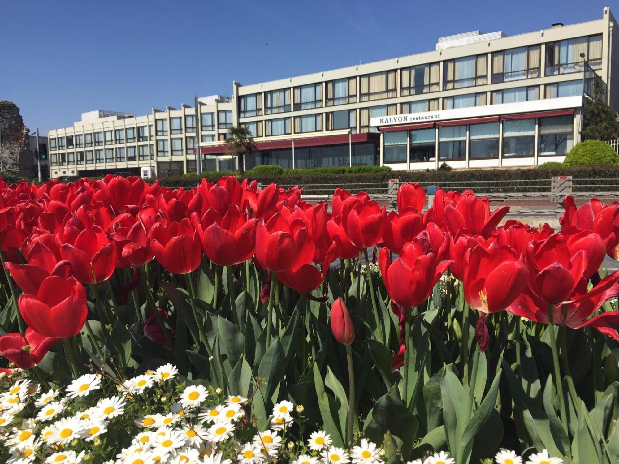 Kalyon Hotel Istanbul Eksteriør billede